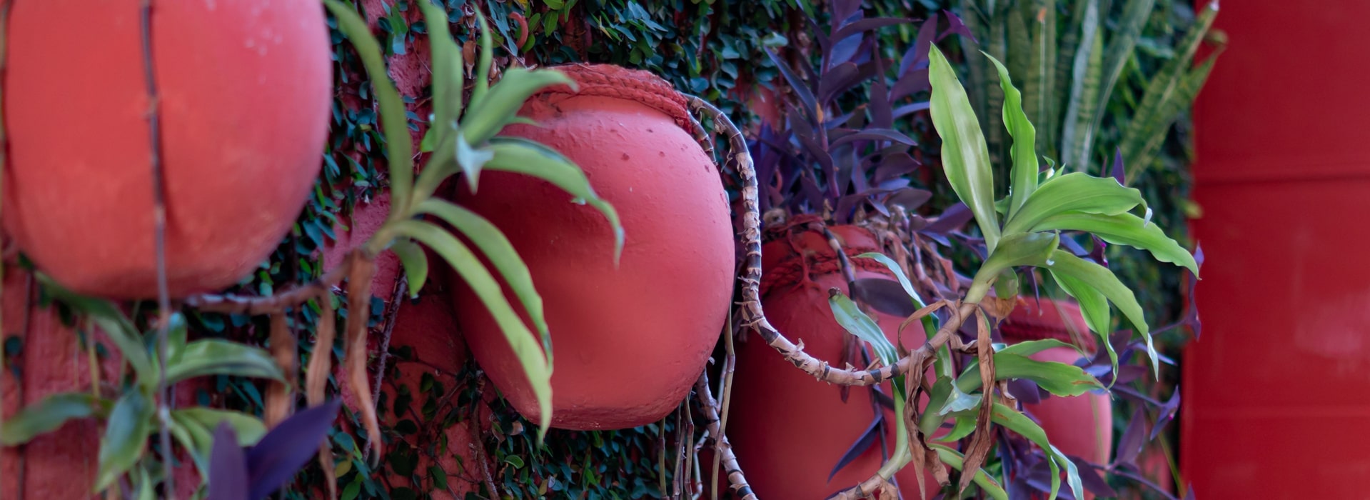 Vista Jardin Hotel Irma